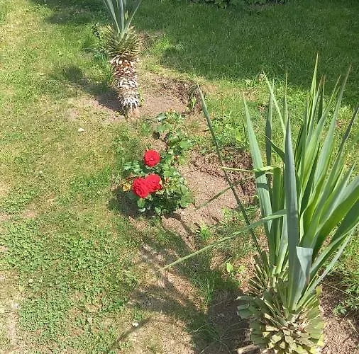 Апартамент Direkt Am Pool Поморие