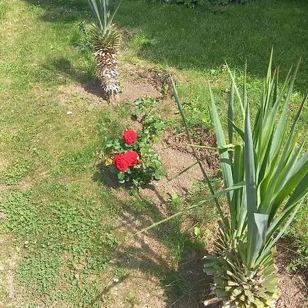 아파트 Direkt Am Pool 포마리